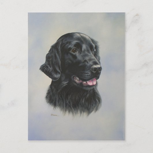 Silka Briefkaart (Voorkant)