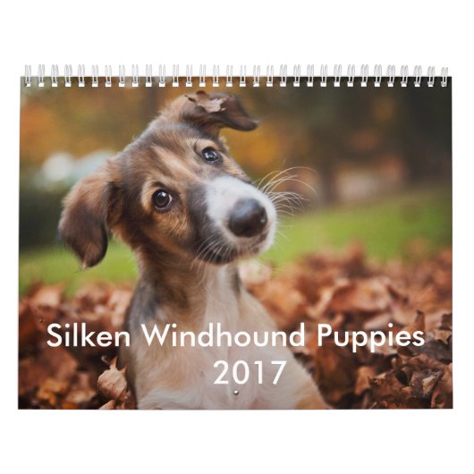 Silken Puppy Calendar 2017 Kalender (Hoes)
