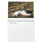 Silken Puppy Calendar 2017 Kalender (Jan 2027)