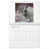 Silken Windhound Puppies 2013 Kalender (Feb 2026)