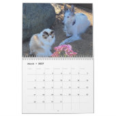 Silken Windhounds 2021 - calendrier With Friends (Mar 2027)