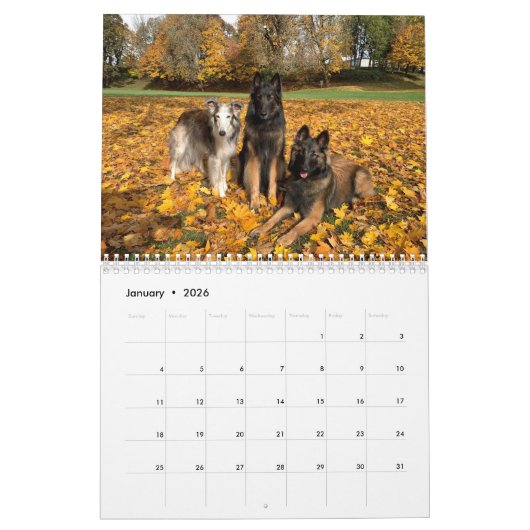 Silken Windhounds 2021 - calendrier With Friends (Jan 2026)