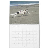 Silken Windhounds 2021 - Fun at the Beach Kalender (Jan 2026)