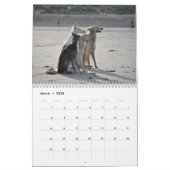 Silken Windhounds 2021 - Fun at the Beach Kalender (Mar 2026)
