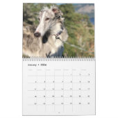 Silken Windhounds 2021 - Shots met kop Kalender (Jan 2026)