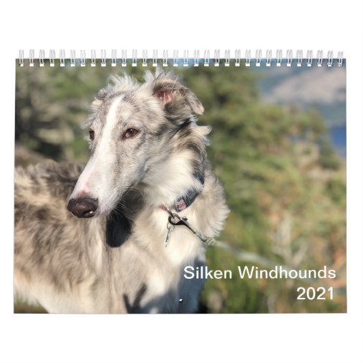 Silken Windhounds 2021 - Shots met kop Kalender (Hoes)