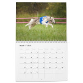 Silken Windhounds met geun. 2019 Kalender (Mar 2026)