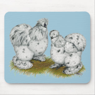 Silkie Bantam Splash Chickens Muismat