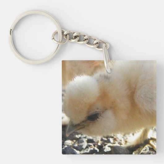 Silkie Chick Sleutelhanger (voorkant)
