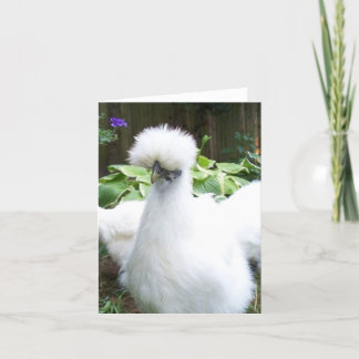 Silkie Chicken wenskaart Kaart