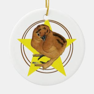Silkie Rode Kuiken Ster Keramisch Ornament