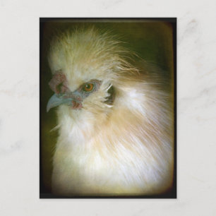 Silkie Rooster Briefkaart