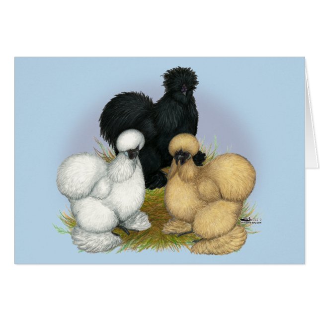 Silkie Trio (Devant Horizontal)