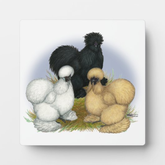 Silkie Trio Fotoplaat (Voorkant)