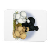 Silkie Trio Magneet (Horizontaal)