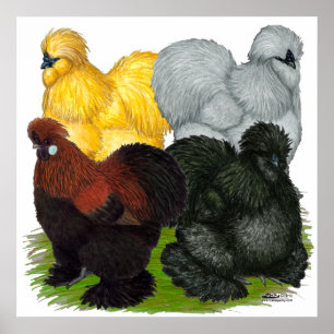 Silkies: Assorteermachines Poster