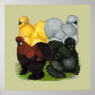 Silkies: Geëxsorteerde Roosters Poster