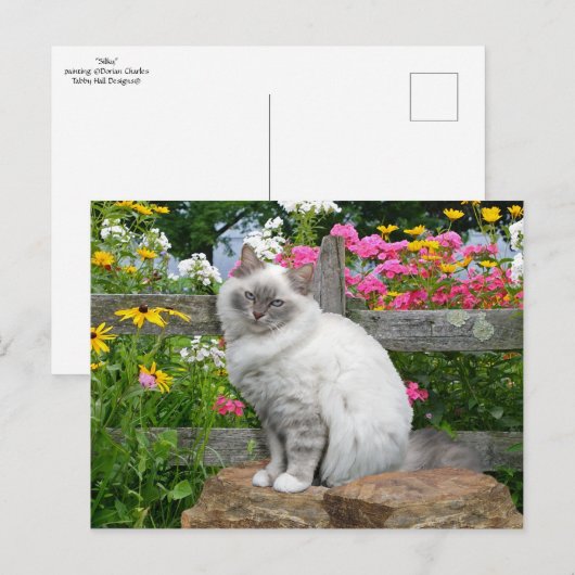 "Silky"-Briefkaart Briefkaart (Voorkant / Achterkant)