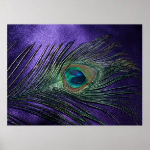 Silky Paarse Peacock Feather Poster