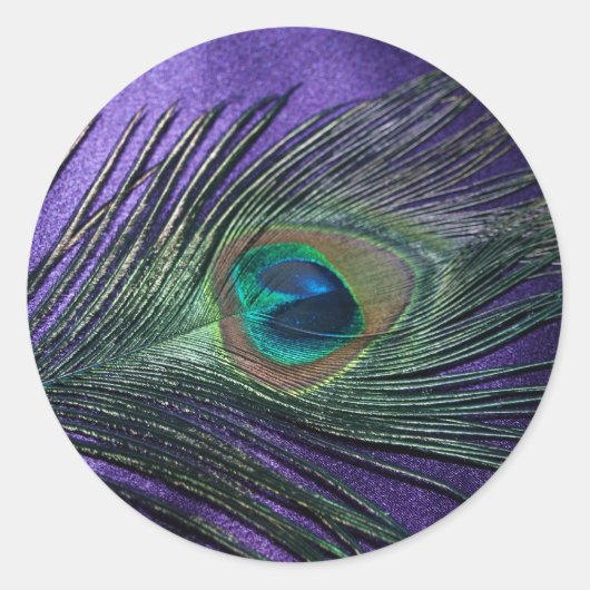 Silky Paarse Peacock Feather Ronde Sticker (Voorkant)