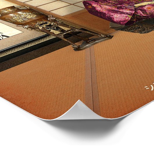 Silky Rice Poeder Poster (Hoek)