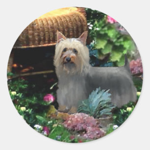 Silky Terrier Art Gifts Ronde Sticker