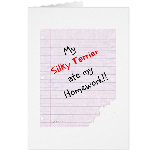 Silky Terrier Ate mes devoirs (Devant)