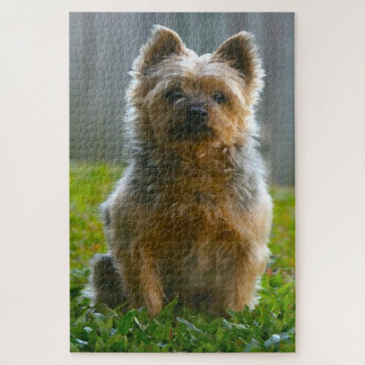 Silky Terrier Dog Jigsaws. Legpuzzel (Verticaal)