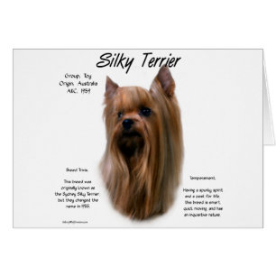 Silky Terrier History-ontwerp