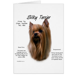 Silky Terrier History-ontwerp