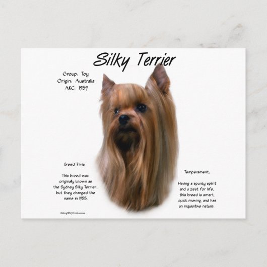 Silky Terrier History-ontwerp Briefkaart (Voorkant)