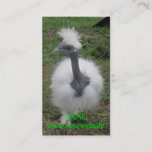 Silky Turken Girl Visitekaartje