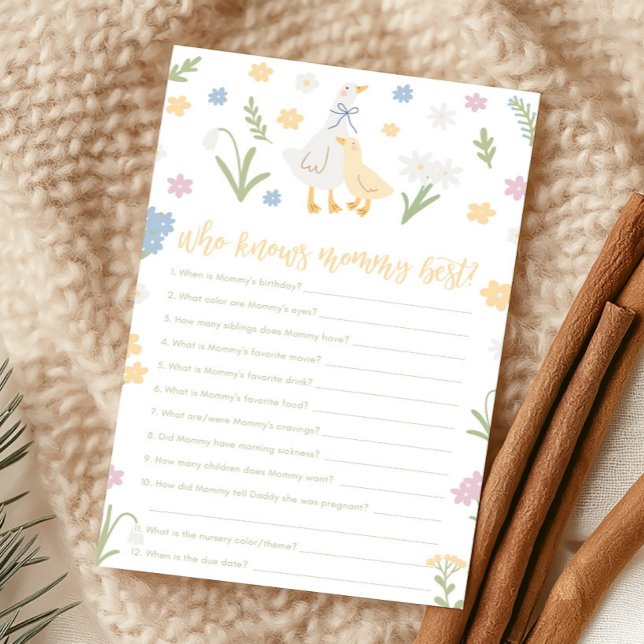 Silly Goose Gingham Baby Shower Who Knows Game (Silly Goose Baby Shower Game)