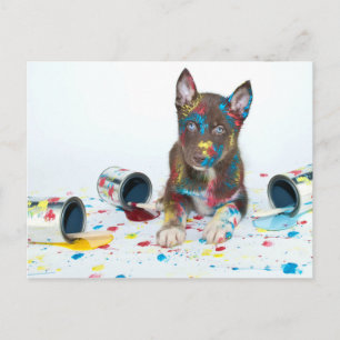 Silly Husky Puppy got into Paint Buckets Briefkaart