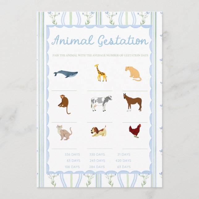 Silly Little Goose Baby Shower Games (Voorkant)