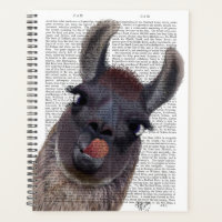Silly Llama