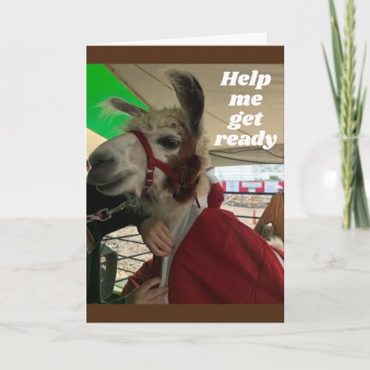 **SILLY LLAMA** DITES HEUREUSE CARTE D'ANNIVERSAIR (Devant)