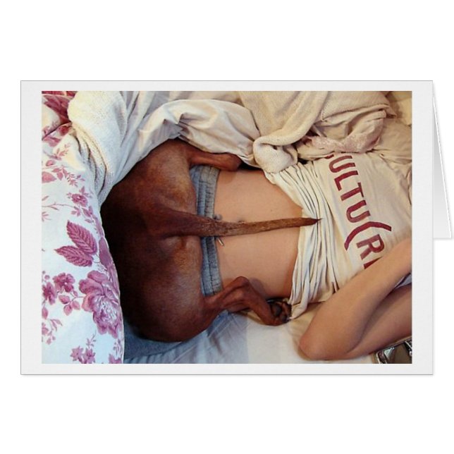 Silly Sleepy Pitbull ! (Devant Horizontal)