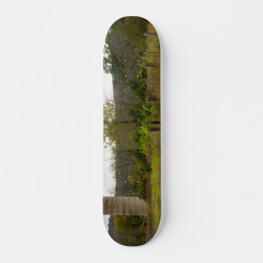 Silo Toujours Stands Skateboard (Devant)