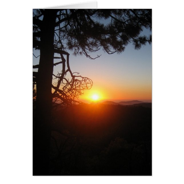 silouettes couché de soleil 2 (Devant)