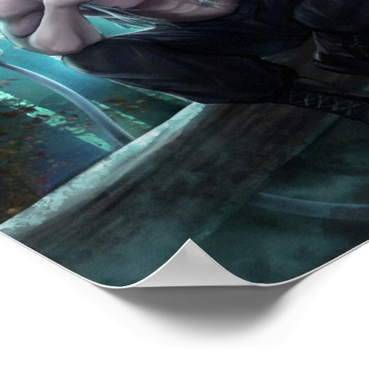 Silvas Poster (Hoek)