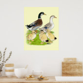 Silver Appleyard Poster (Keuken)