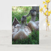 Silver Appleyard-tekeningen Kaart (Gele Bloem)