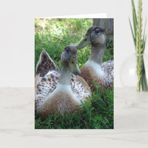 Silver Appleyard-tekeningen Kaart