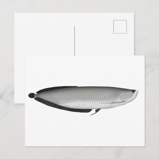 Silver Arowana Briefkaart (Voorkant / Achterkant)