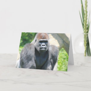 Silver Back Gorilla Kaart
