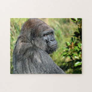 Silver Back Gorilla Legpuzzel