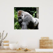 Silver Back Gorilla Poster (Keuken)