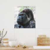 Silver Back Gorilla Poster (Keuken)
