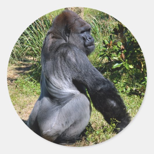Silver-backgorilla-ronde sticker (Voorkant)